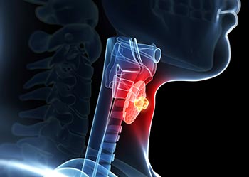 Thyroid Neck Exam