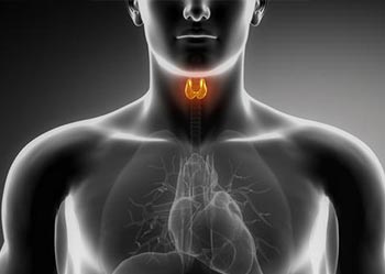 Thyroid Neck Exam